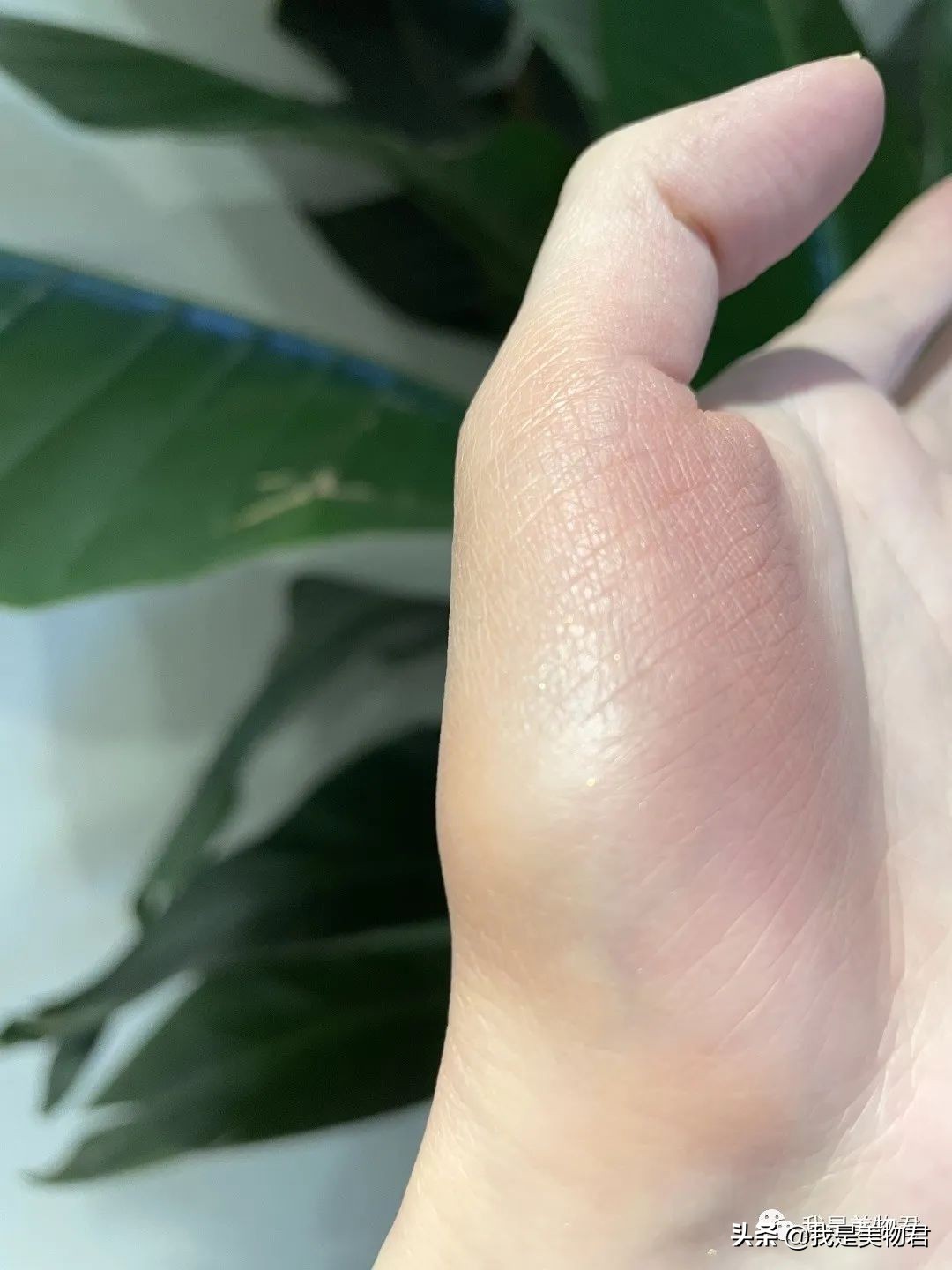 持久显白元气腮红,元气少女必备的腮红推荐