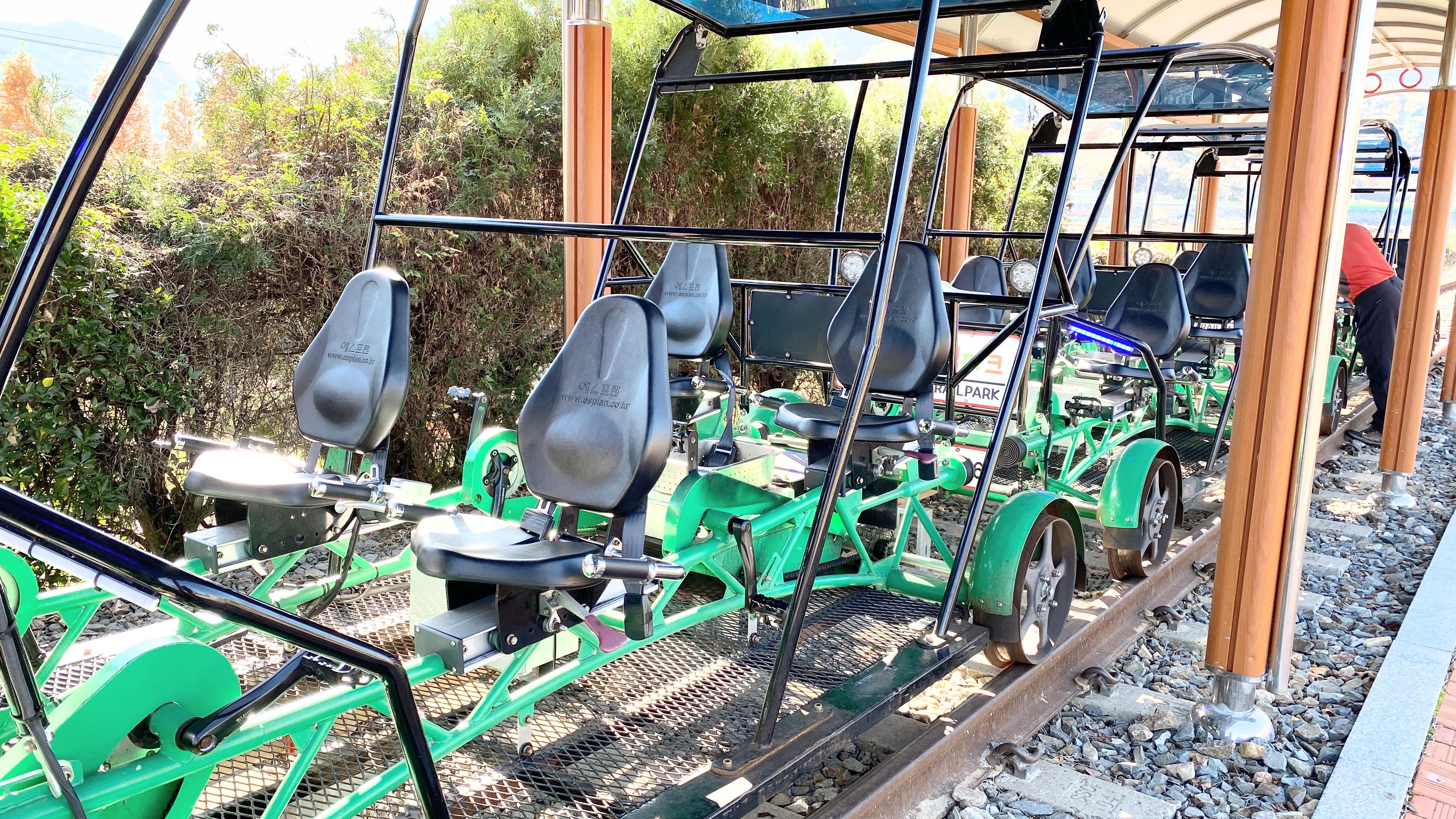 哇,人参随便挖!韩国还能这么玩