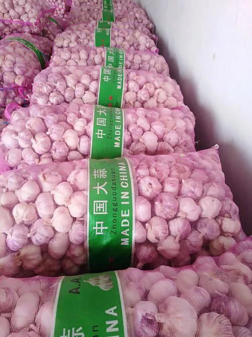 焦裕禄的6个子女:次女被毛主席接见,次子官至正厅,人称小焦书记