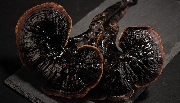 在线医疗成新风口,中国生态灵芝借风蓄力能否实现盈利倍数增长?