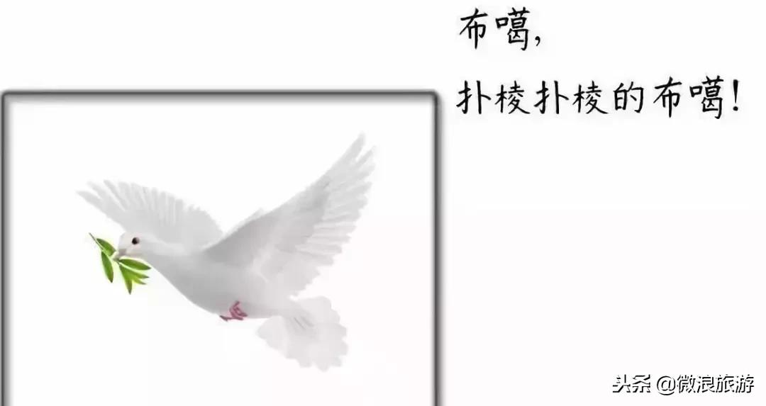 莒州话,莒县话听不懂