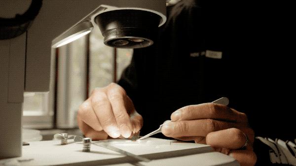 吃毒菇、睡蛇窝,只为挖一堆草,这个重庆博士要做当代神农