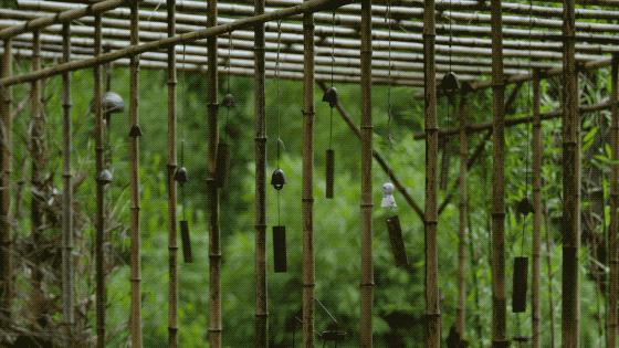 一家四口倾家荡产在山里造房隐居：3年零收入，坚持不通车