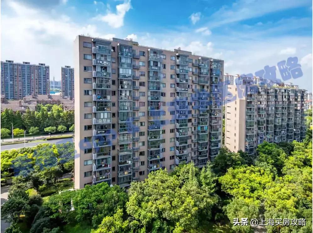 浦东第一公办牛校,上海市浦东新区第一小学