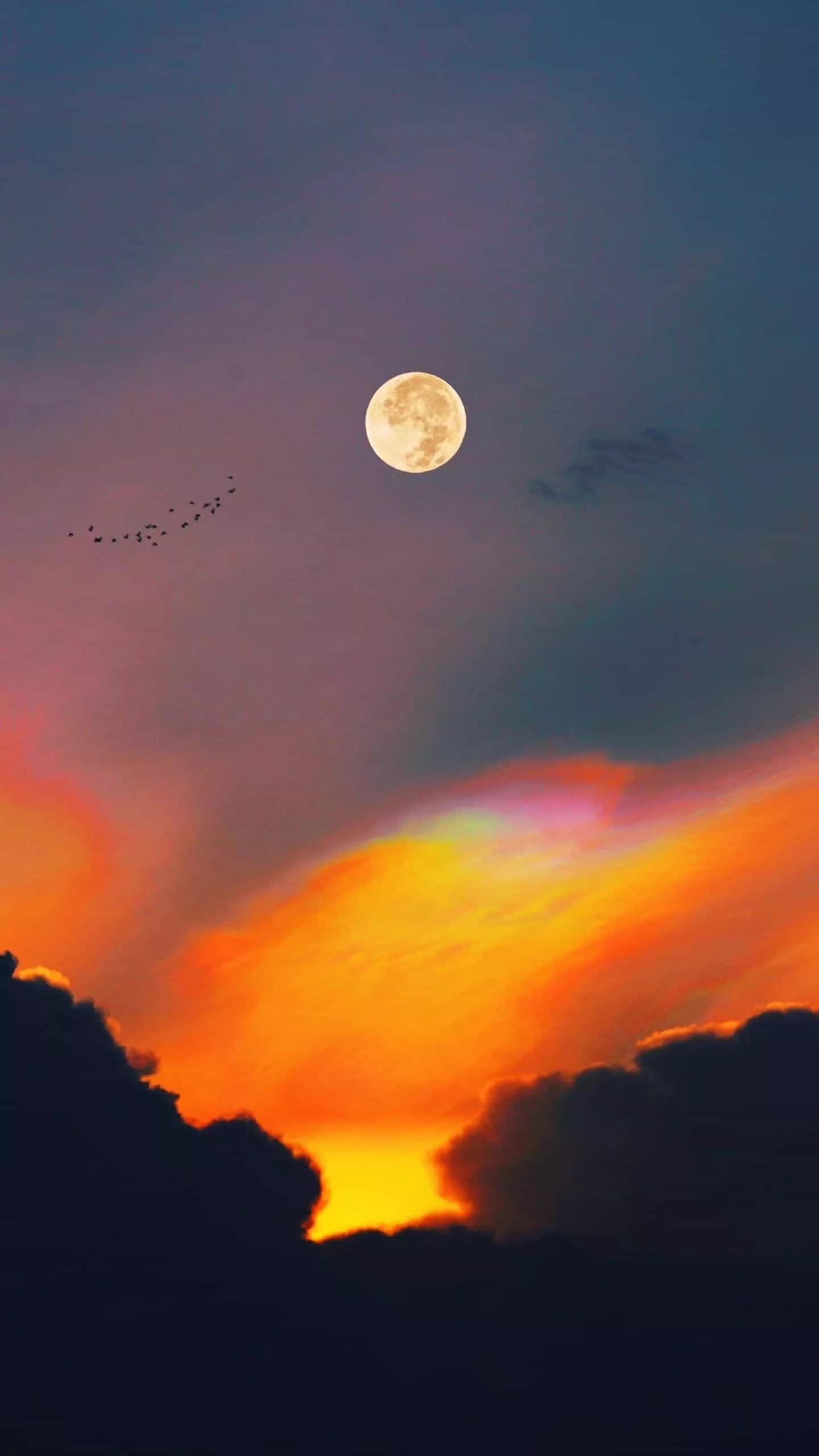 红色基因在教学中的实施措施,红色基因治疗癌症