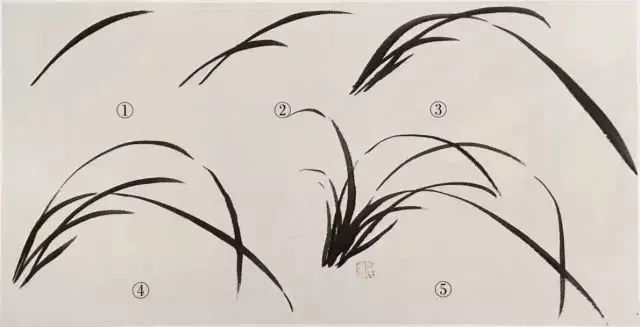 水墨怎么画兰花最好看,如何画兰花大全图片