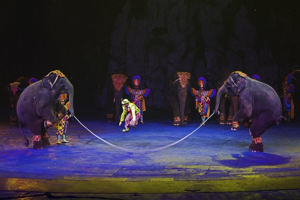 京轩溜娃指南|暑假带娃去哪儿玩?入坑长隆那是必须滴~