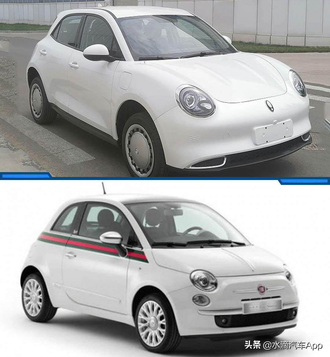 突然伪潮流的欧拉,能成为一只好猫么?