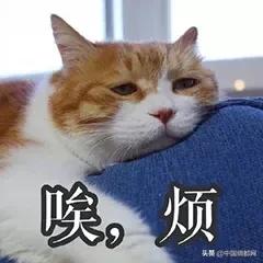 惊喜:接到了2个集装箱的春亚纺+PE膜订单!涤塔夫、春亚纺大卖?