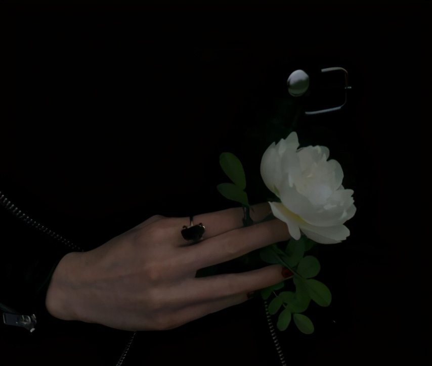 网易云热评看不透,网易云很有深意的热评