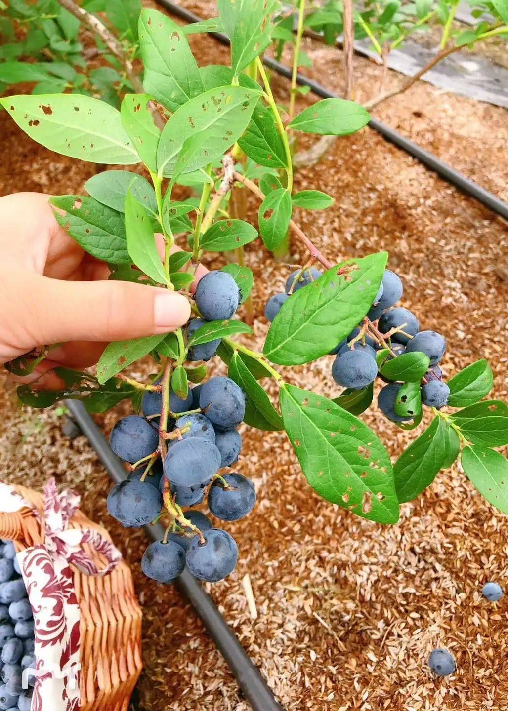 太仓亲子度假酒店,江苏太仓度假
