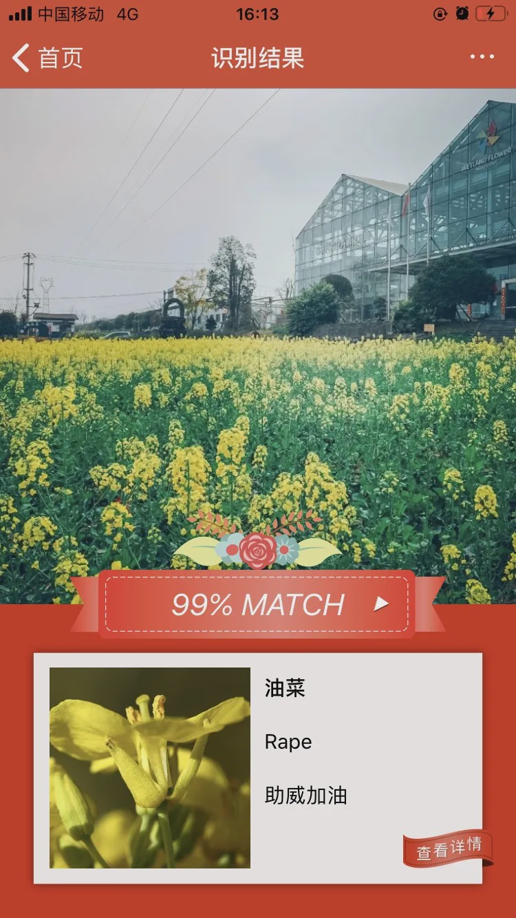 哪个识花软件最好用,识花app免费的哪个好