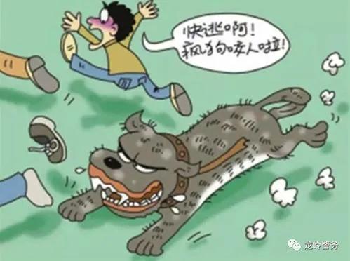 被狗狗抓伤该怎么自救,小朋友遇到陌生的狗应当怎么办