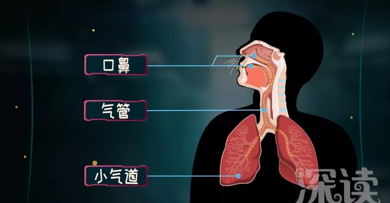 肺气肿一吸烟就咳嗽怎么回事,吸烟后痰多支气管炎