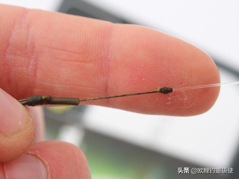 钓鱼也是一种技术,科学钓鱼的基本原理