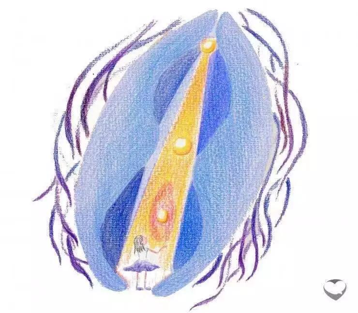 再造处女:处女膜修复术的是与非