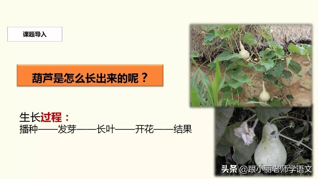 二年级我要的是葫芦的寓意是什么,二年级我要的是葫芦说明什么道理