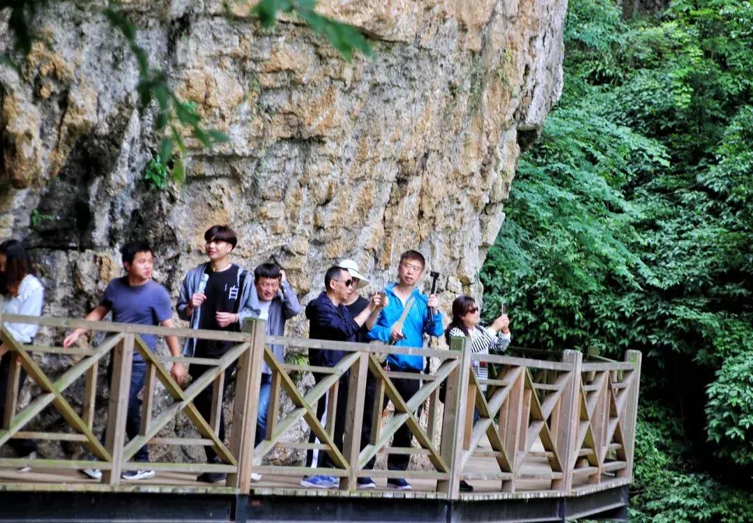 飞拉达攀岩溜索丛林溯溪地心探洞,清远飞拉达丛林探险