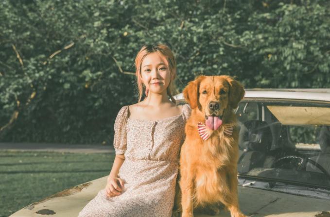 饲养宠物狗易出现的几大误区,宠物狗饲养方法和注意事项