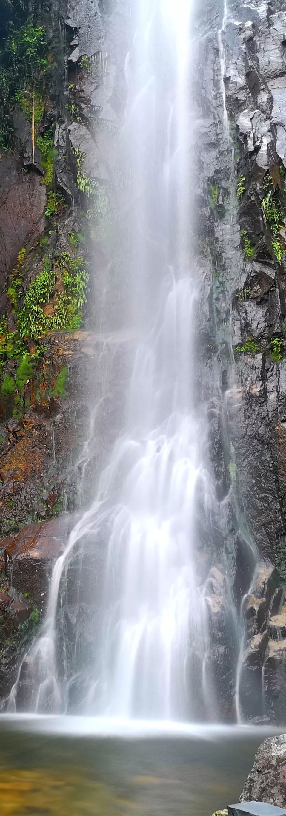贺州姑婆山景区国家森林公园,贺州姑婆山森林公园路线