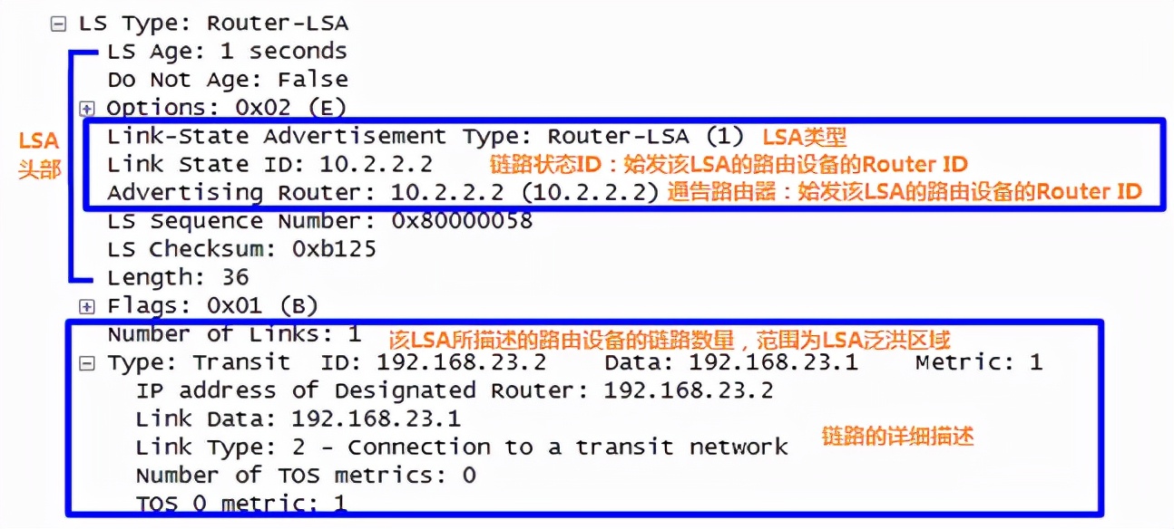 ospf配置详细教程原理,ospf工作原理及报文