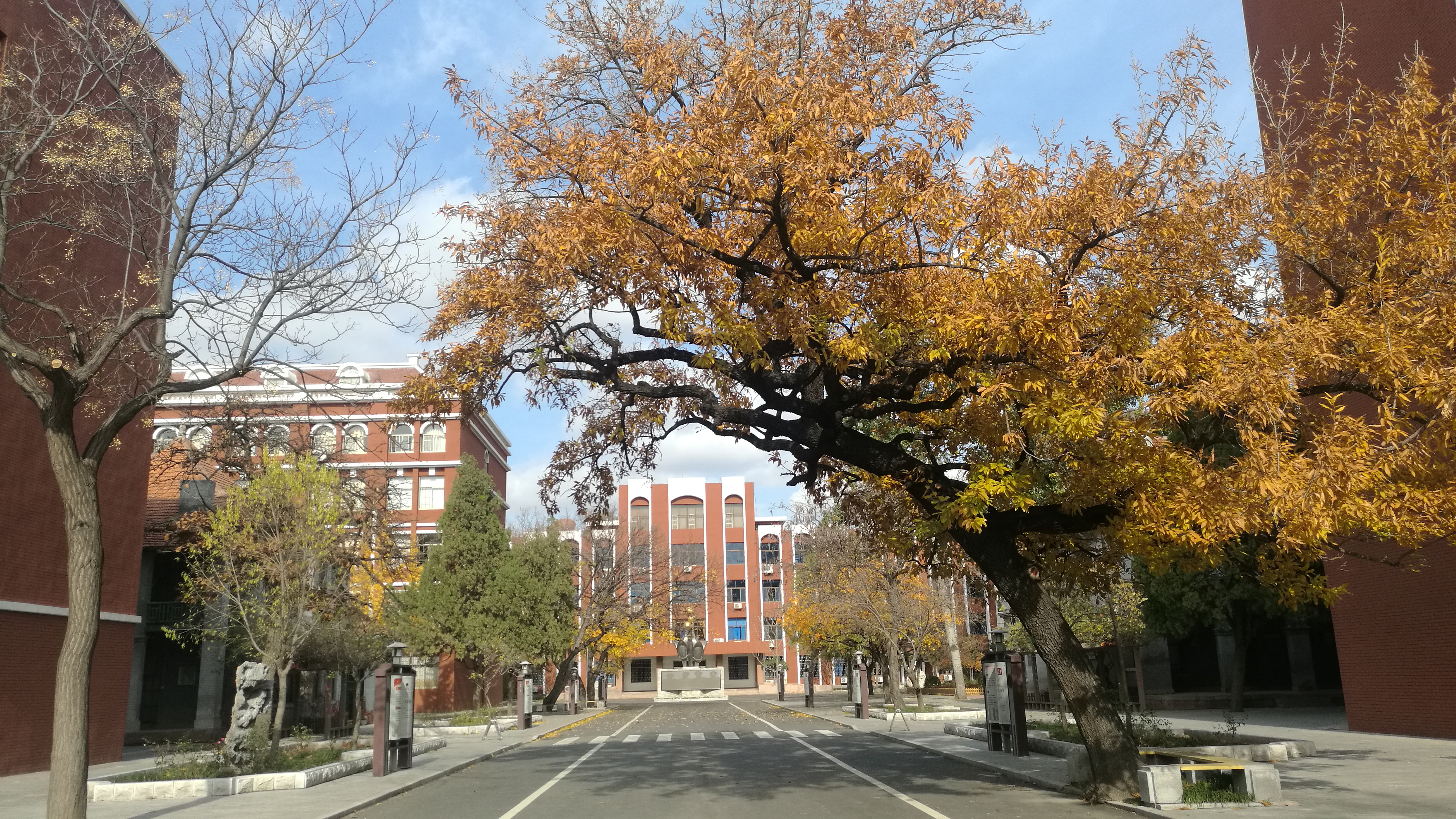 百年山东看青岛千年齐鲁逛青州,山东大学趵突泉景区