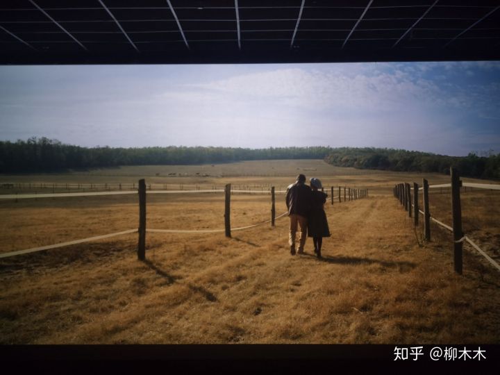 喜宝电影观后感,电影喜宝中有哪些槽点知乎
