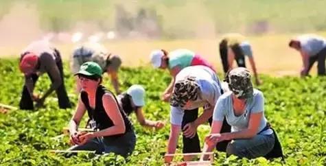 搞美丽乡村、田园康养,这些欧洲爆款农业模式不得不看