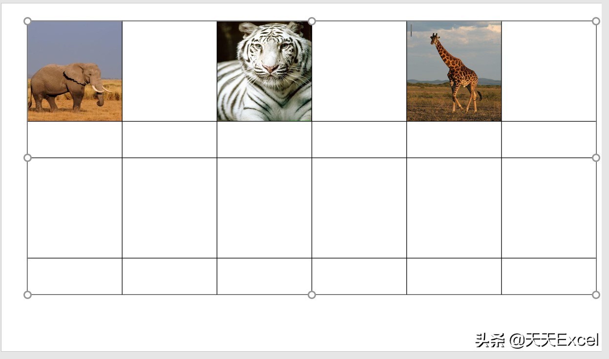 ppt怎么快速对齐排版,wps中多张ppt怎么快速排版图片