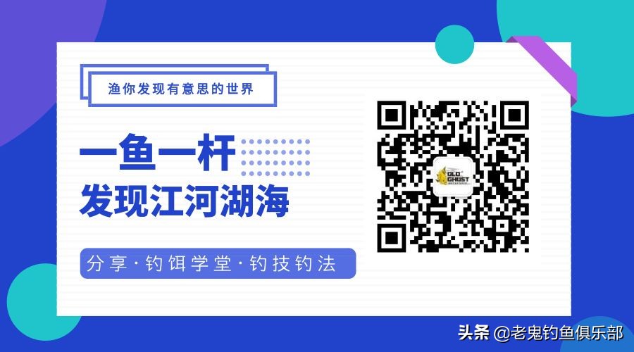 科学钓鱼评测老鬼速胜者鱼竿,老鬼速胜者7.2鱼竿测评