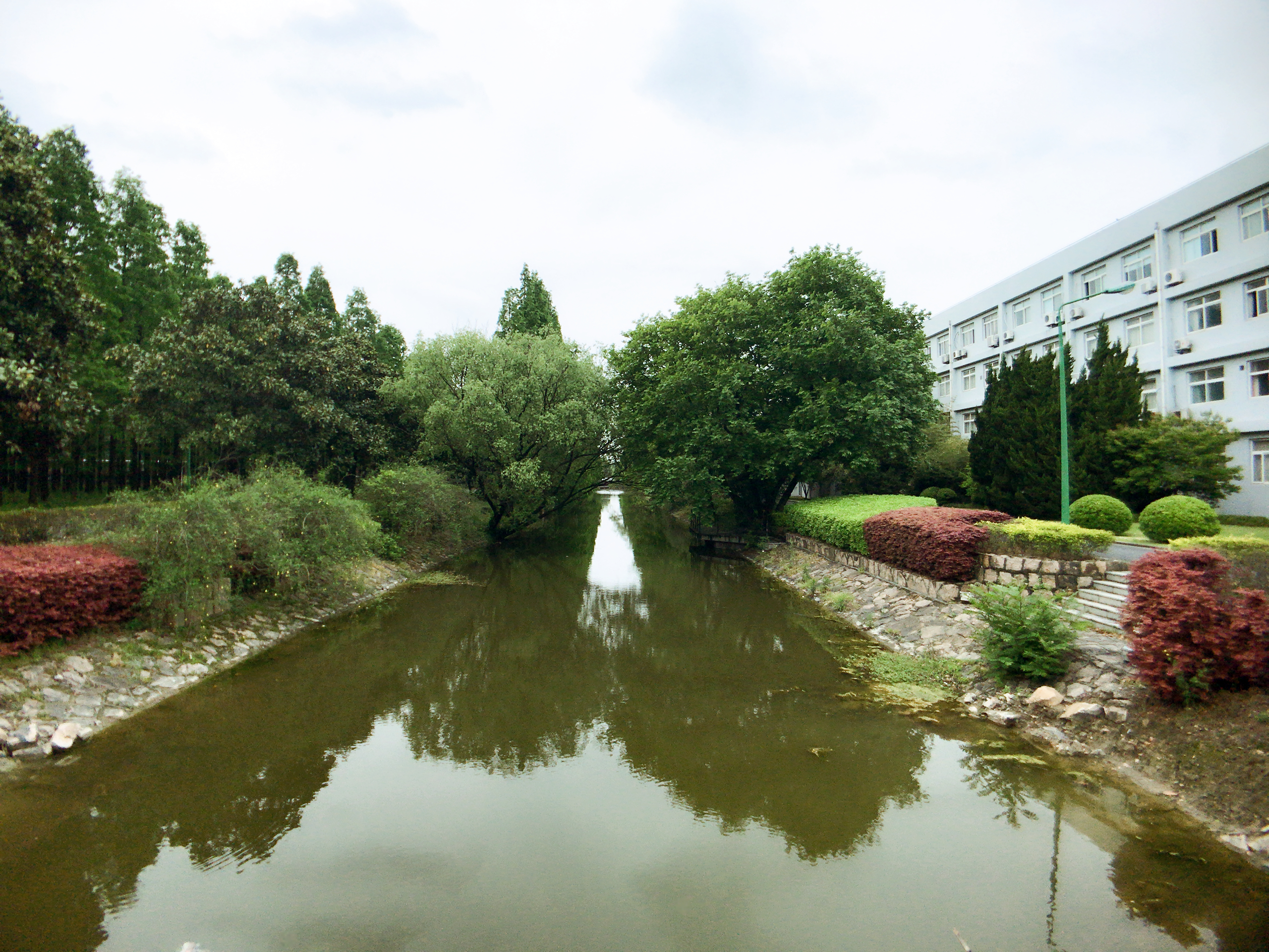 全国物理学最好的大学,高考物理多少分能学懂大学物理