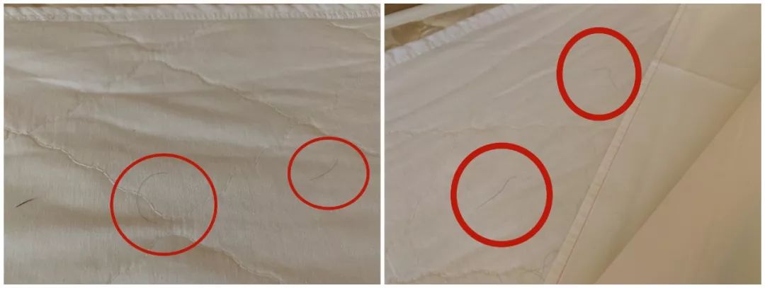 如家七天,如家7天快捷连锁酒店哪个好