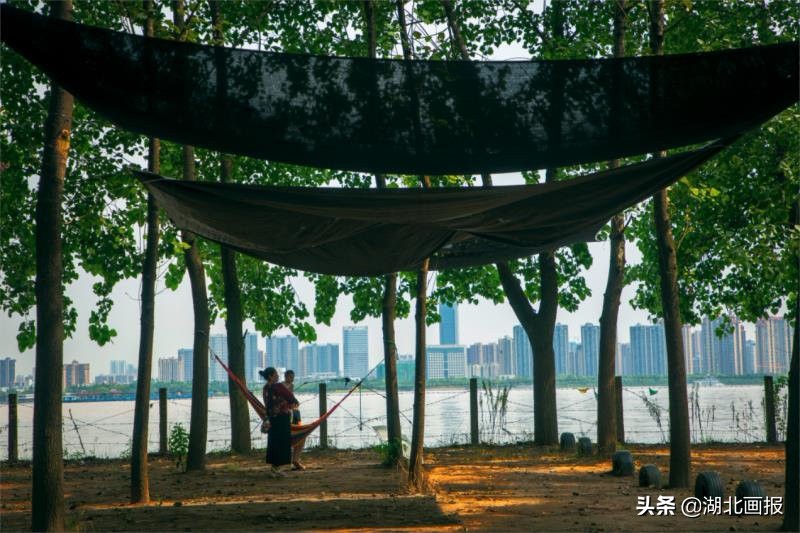 生态天兴洲，美在水云间