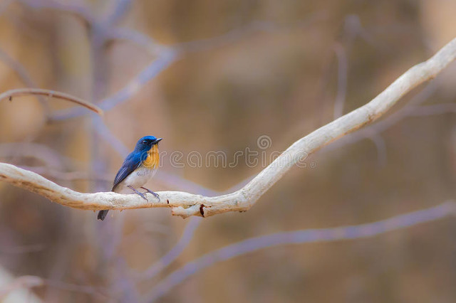 妻子黑夜里痛苦的*吟呻**，他听不到