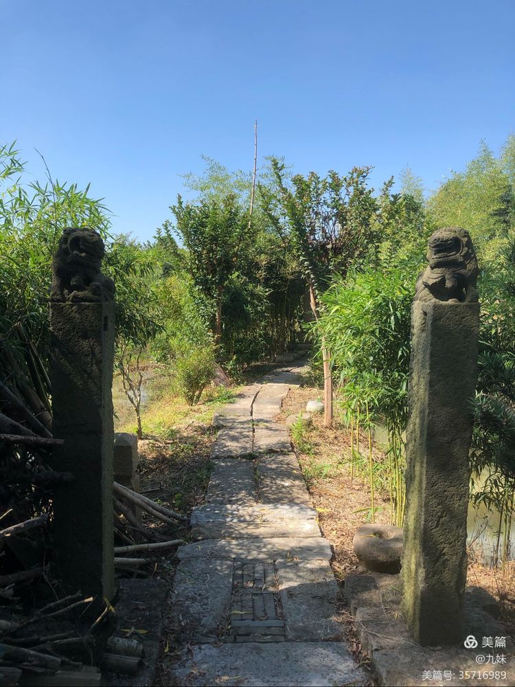 走进风雅石园，位于王店镇聚宝湾景区里