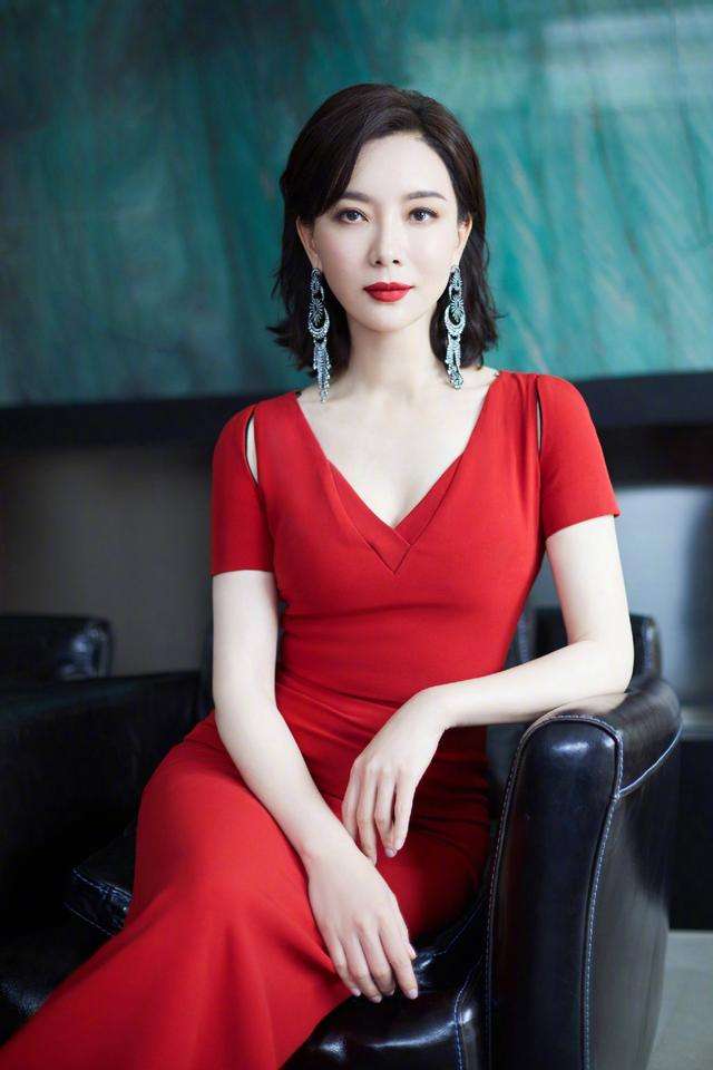 铁梨花演员陈数和巨兴茂什么关系,陈数主演的电视剧铁梨花还叫啥名