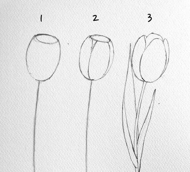 画花怎么才能画好看呢,教大家一个画花技巧