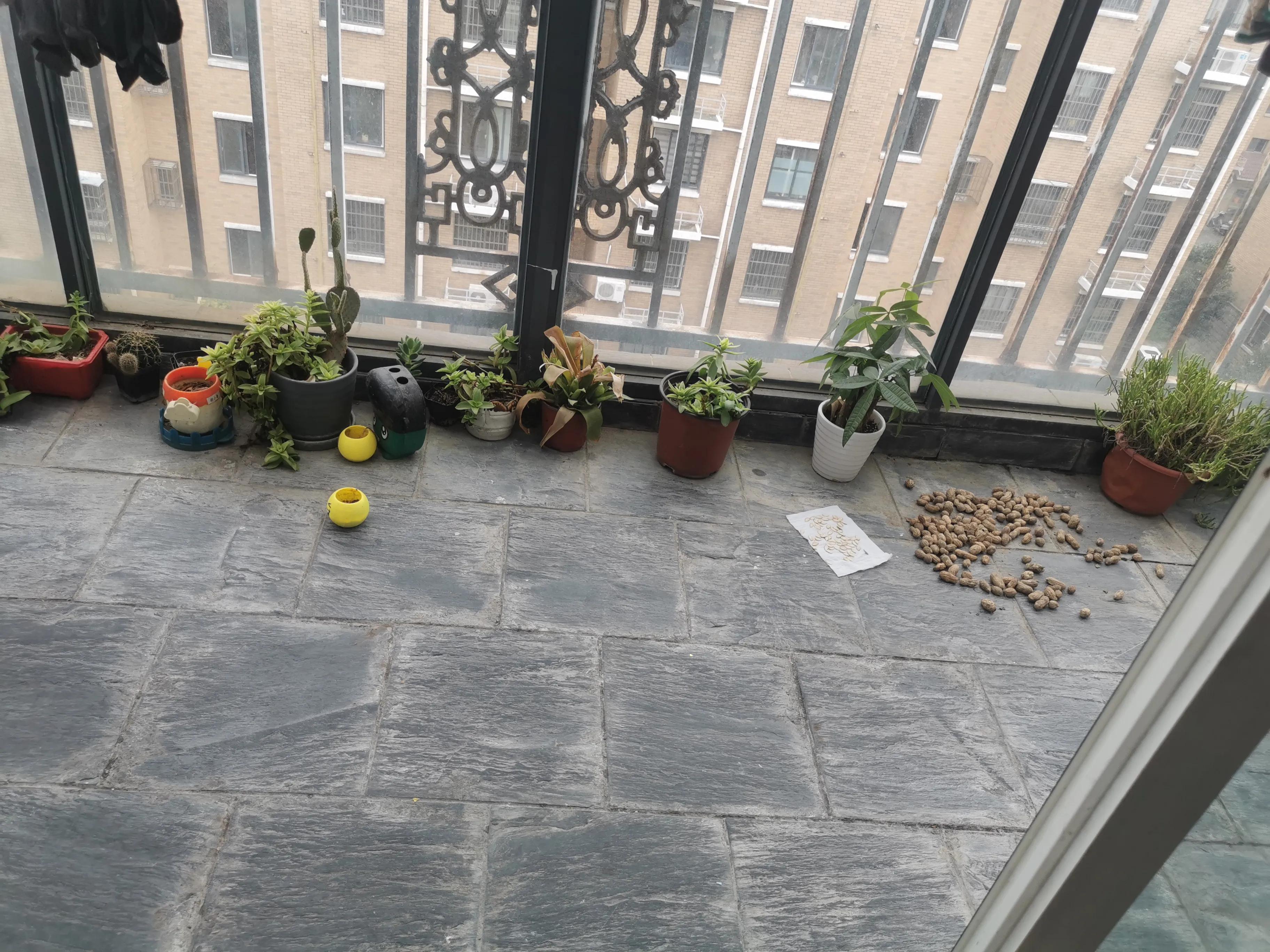 顶楼香不香,顶楼是不是真的不吵