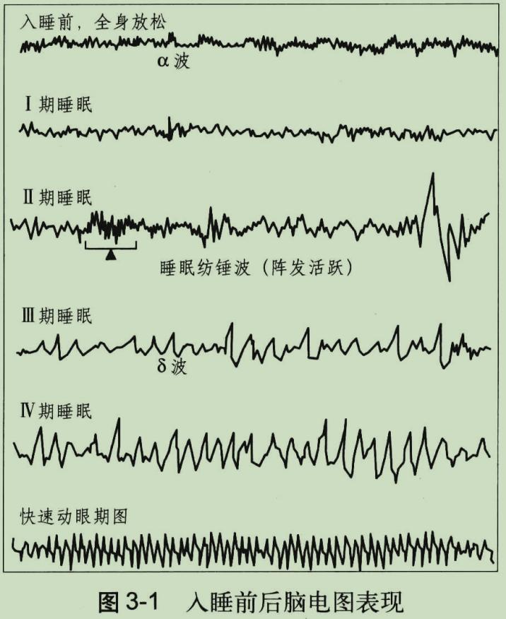 《睡出活力》：手把手教你进行科学高质量睡眠