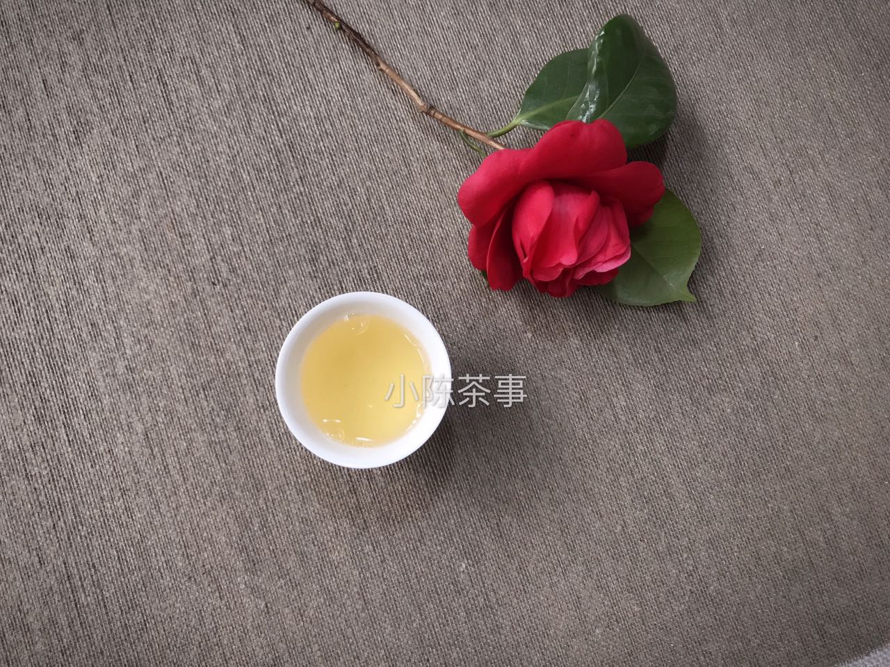 分享正宗福鼎白茶,白茶的十个问答