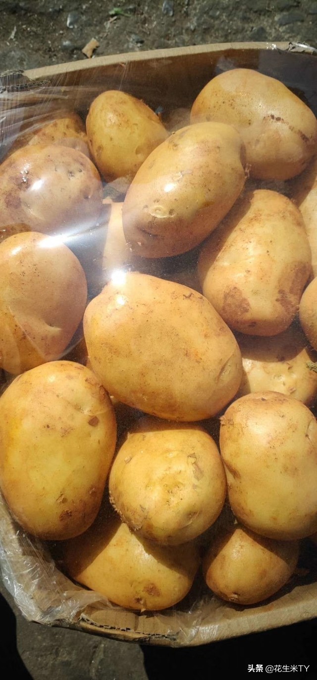 石家庄桥西蔬菜水果批发市场报价,石家庄桥西区今日水果批发价格表