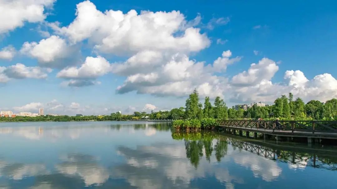 周末广州市内哪个公园最值得去,广州十大避暑旅游景点