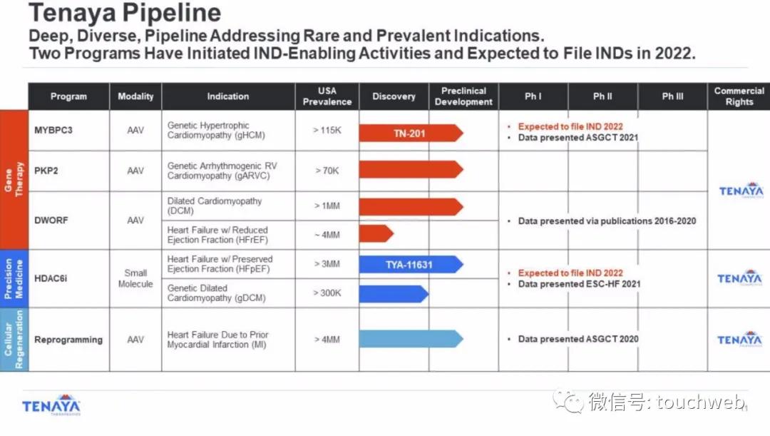 基因疗法相关上市公司,tenaris公司