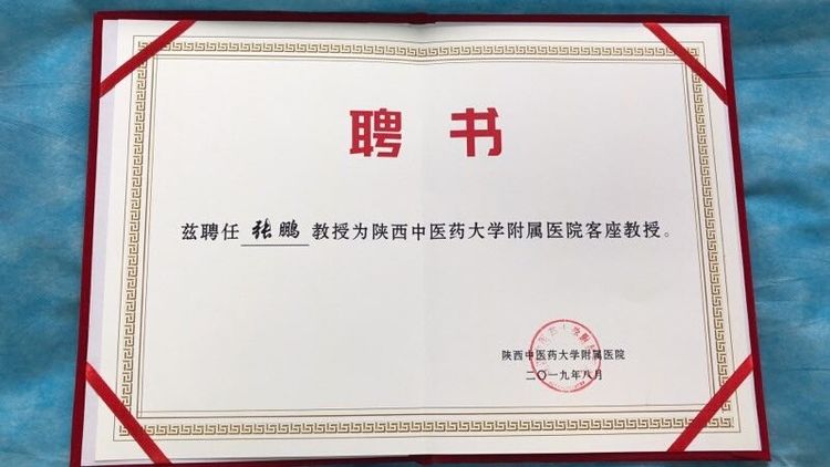 陕中大附院聘请西京医院肾脏内科张鹏主任进行学术指导交流
