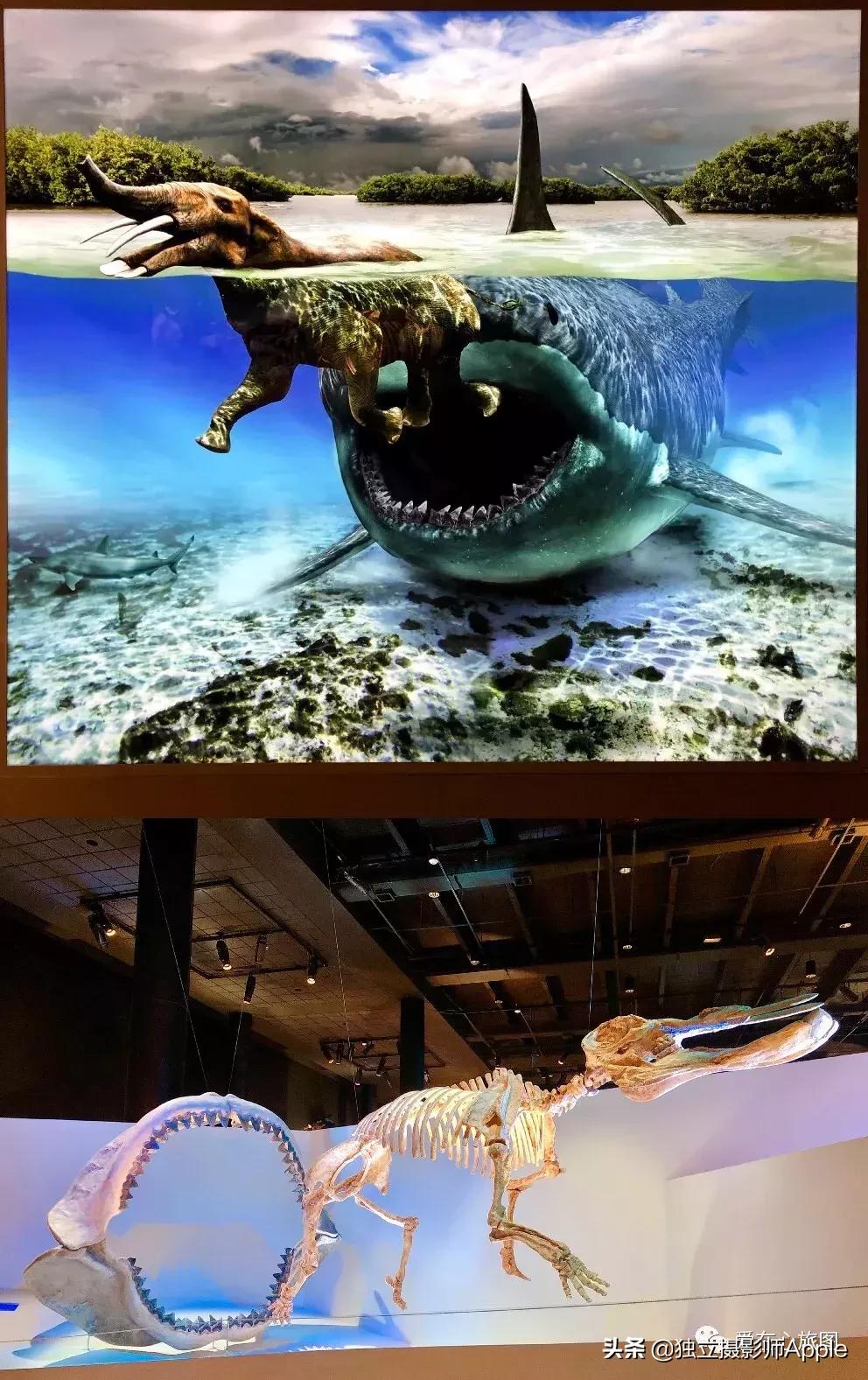 请收下这份美好生活攻略,请收下这份旅游攻略