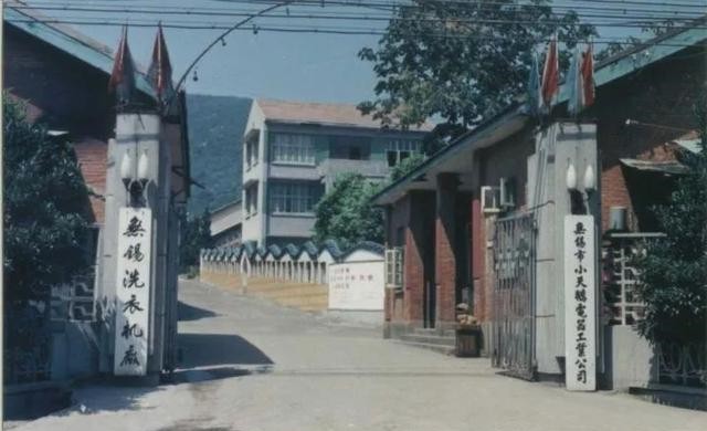 连续11年销量第一却被收购,“小天鹅”如何蜕变成丑小鸭