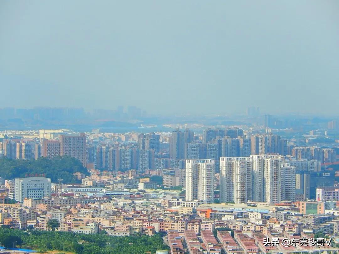 高埗镇的房价为啥这么高,高埗房价走势2021