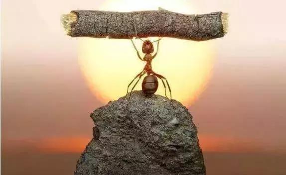 你的坚持不会一文不值,你的坚持终将所愿