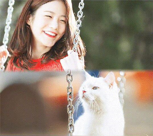 白猫“化身”*男美**子，与主人甜蜜同居，猫咪治愈剧《快过来》真甜