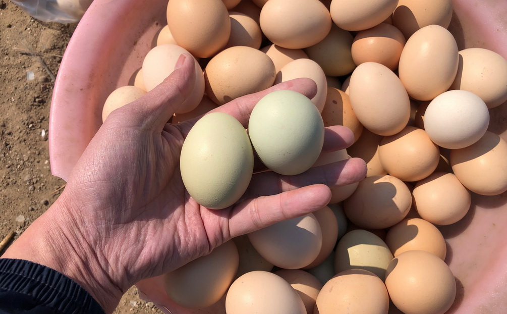 阜新各乡镇集市,阜新地方特色集市